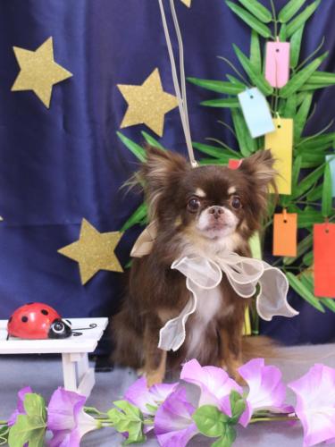 20230711チロルくん